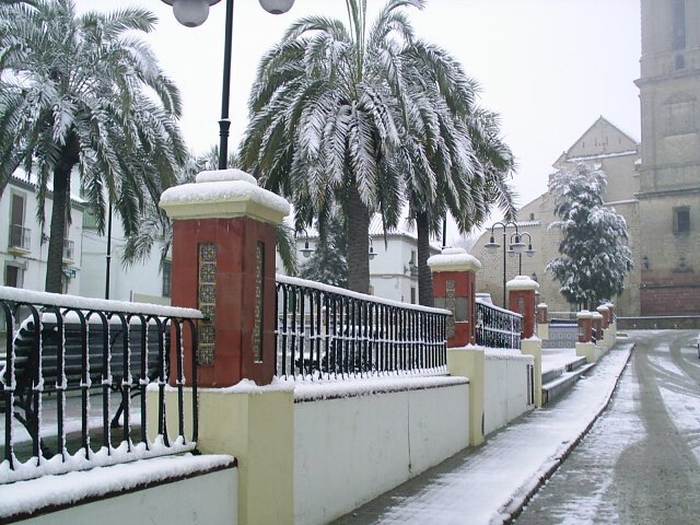 Paseo viejo - nevda 2007.12.29